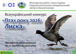Всеукраїнський конкурс «ПТАХ РОКУ 2026: ЛИСКА»