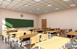 Петиція щодо призупинення реформи НУШ набрала понад 25 тисяч підписів