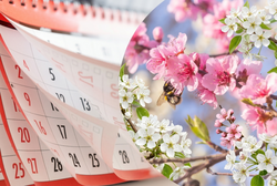 Святкові дні без вихідних: як працюватимуть українці у квітні-травні